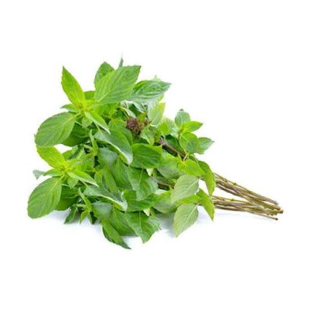 

Daun Kemangi Segar 1 Ikar (Sayuran Segar)