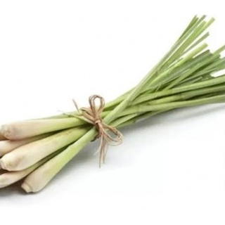 

SEREH MURAH PER IKAT / SEREH SEGAR PER IKAT