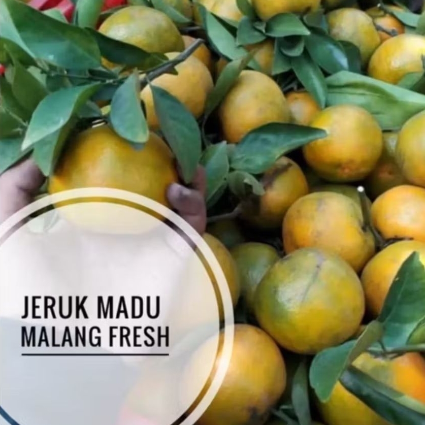 

Jeruk Madu Malang 1 Kg