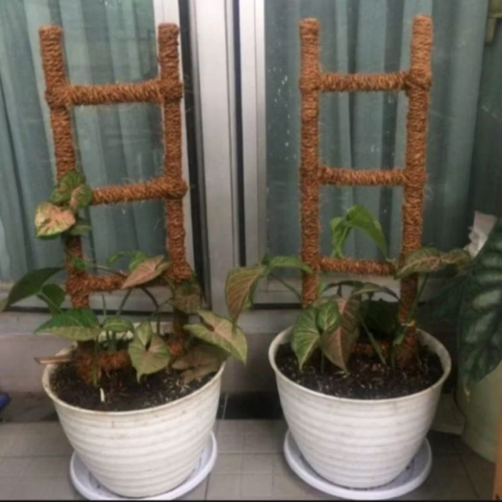 turus tangga penyangga tanaman