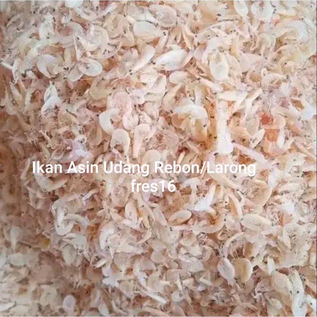 

Ikan Asin Udang Rebon Fres16