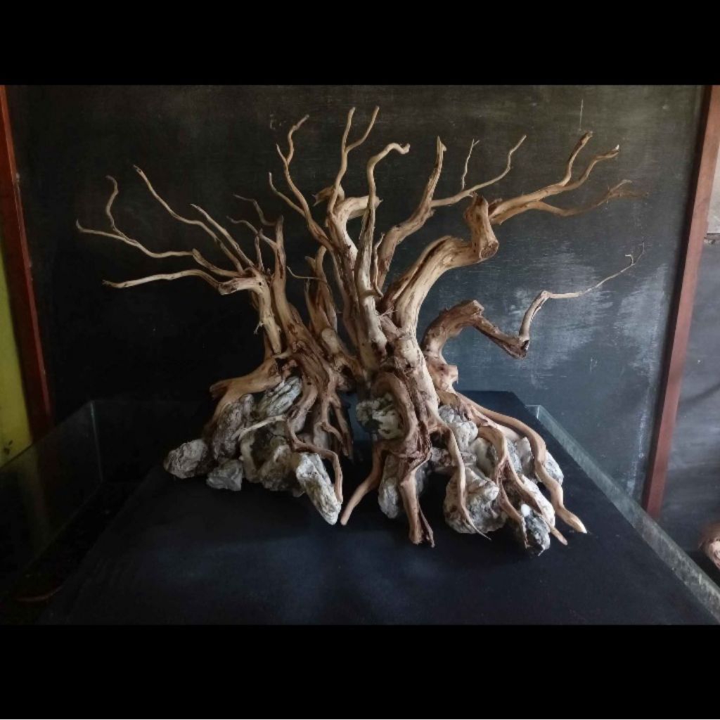 hardscape aquascape 60cm