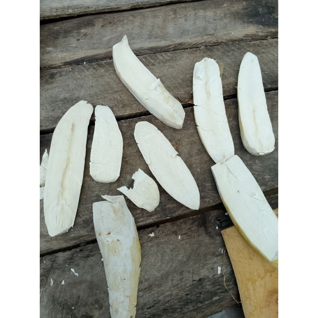 

Singkong Ndeso (Menyok NDeso)