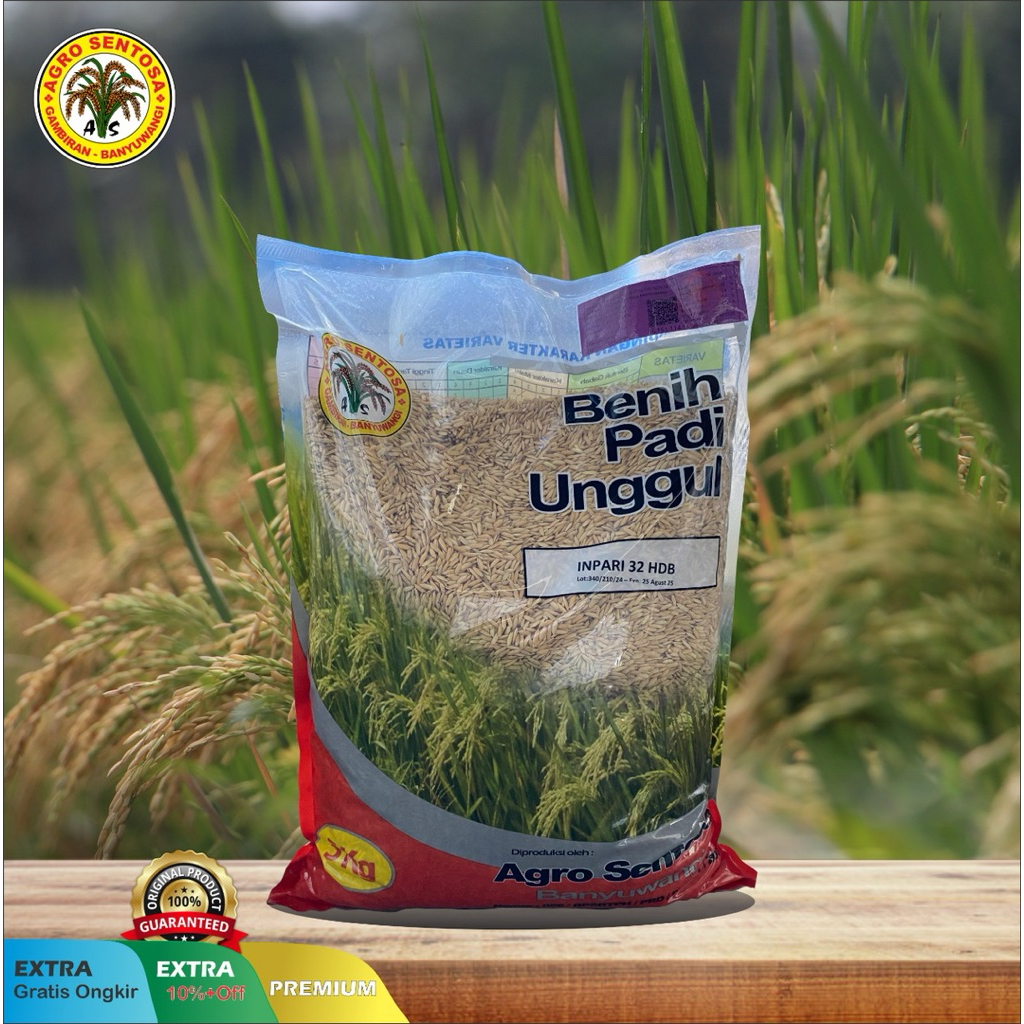 BENIH PADI PREMIUM VARIETAS INPARI-32