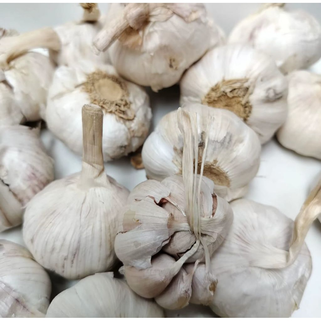 

BAWANG PUTIH BIASA | BAWANG ASLI - KEMASAN 500 GRAM | KEMASAN 1KG