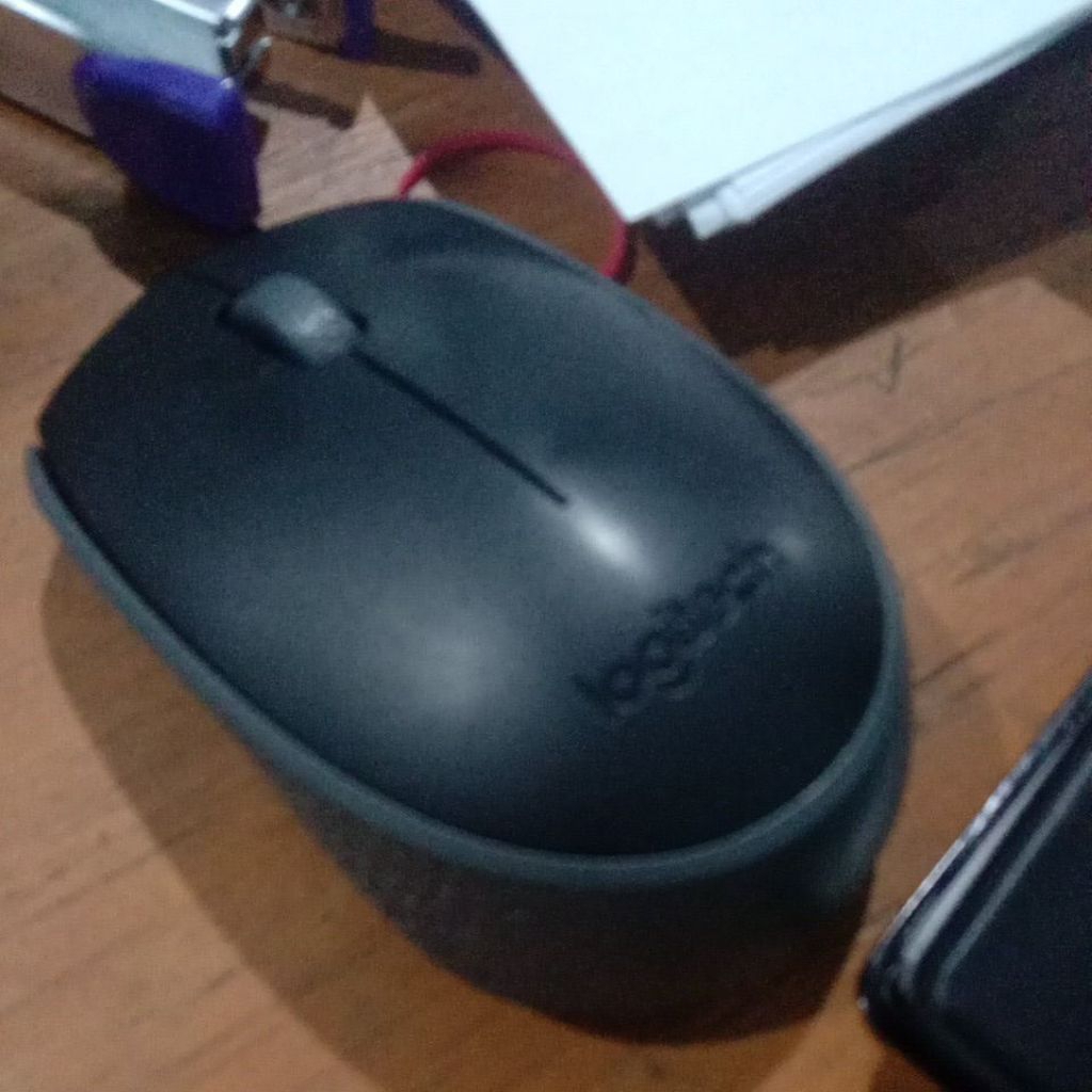 mouse Logitech second