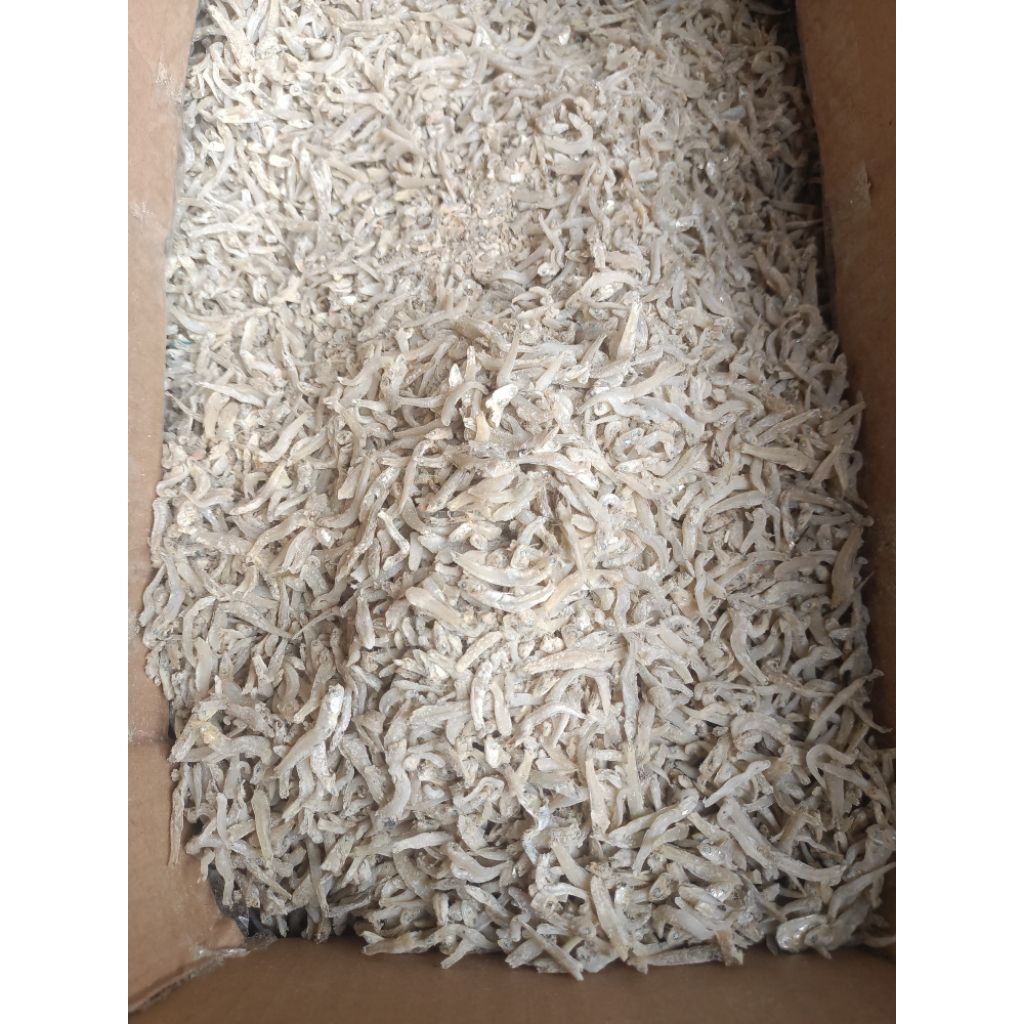 

ikan teri Medan ( asin )