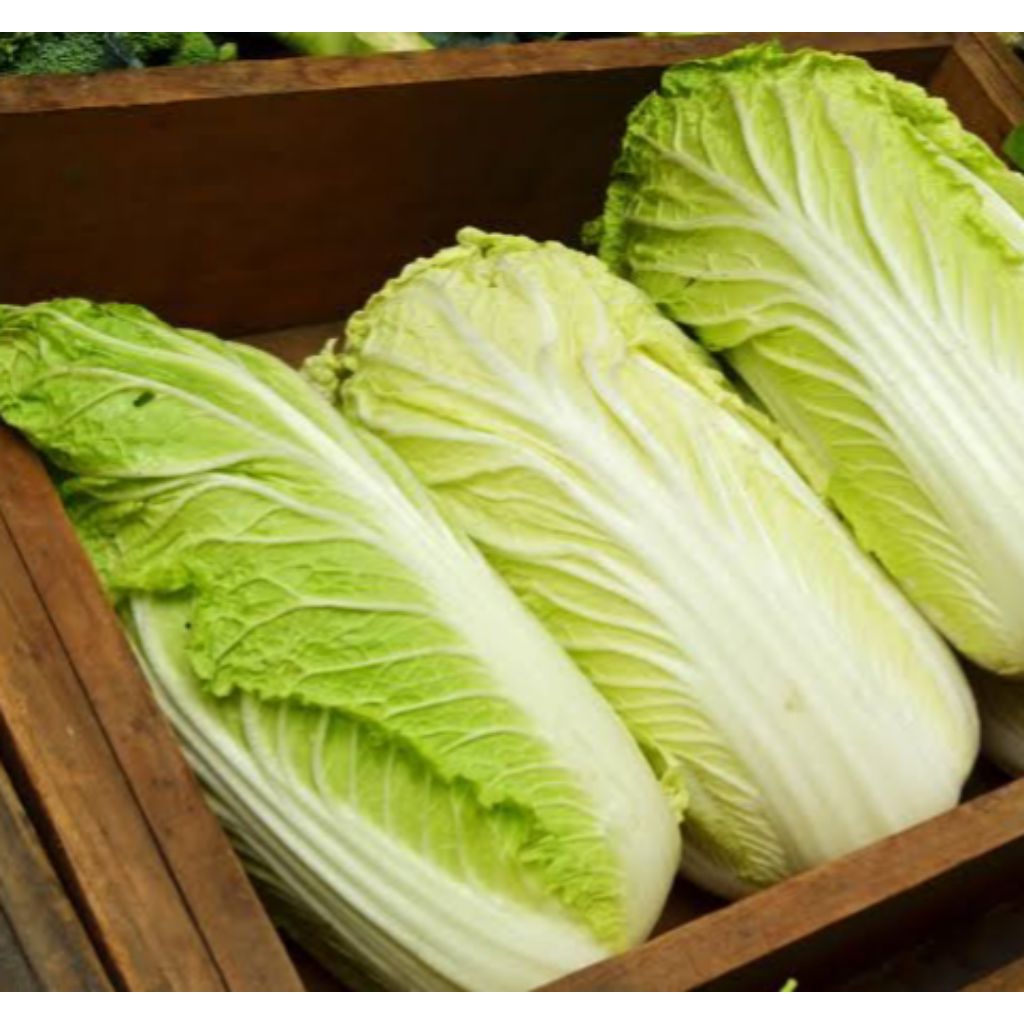 

Sawi Putih Sayur Sawi Putih 500 g