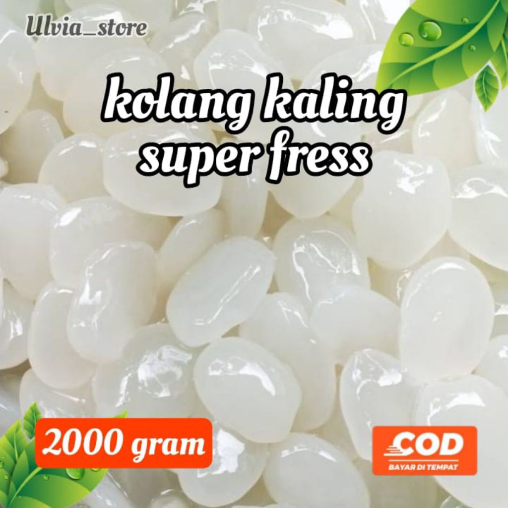 

Kolang Kaling super Fress 2000gram