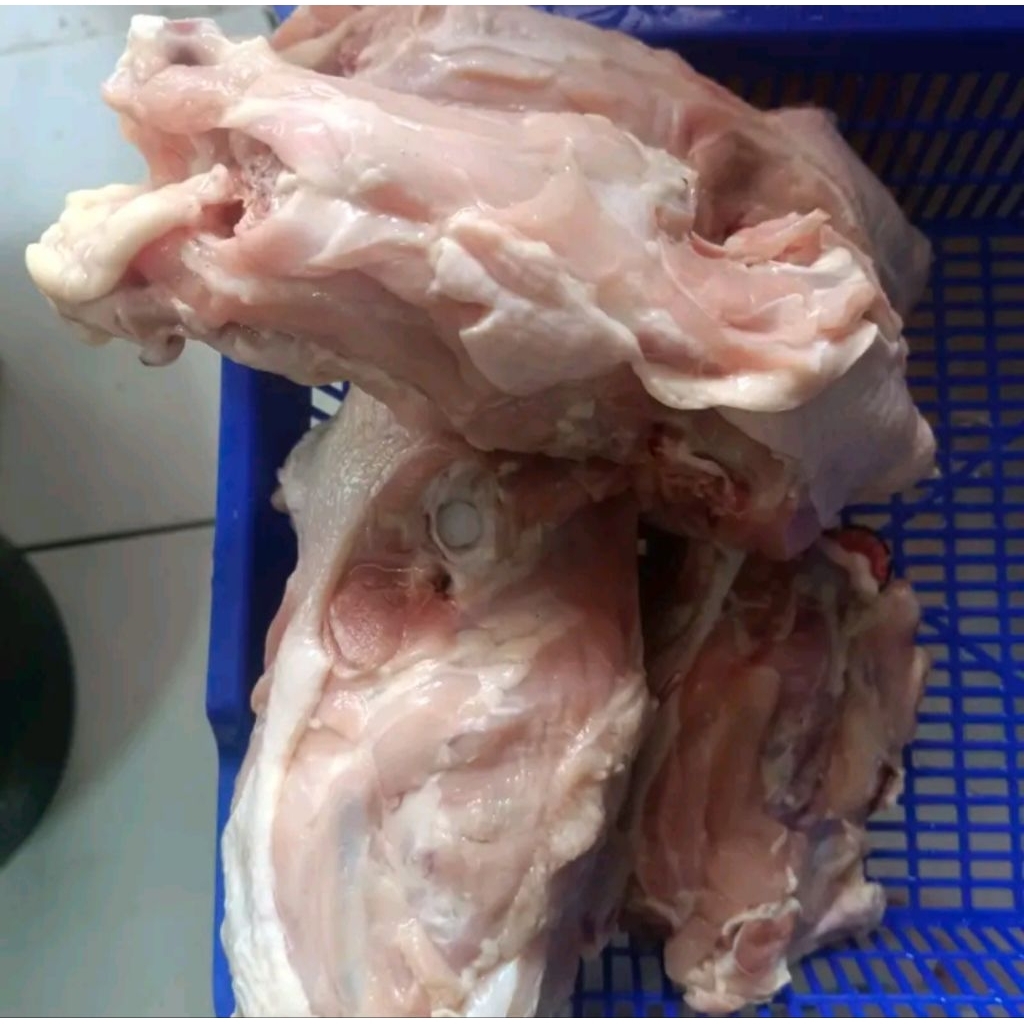 

Kerongkongan Ayam masih banyak Dagingnya 1 kg