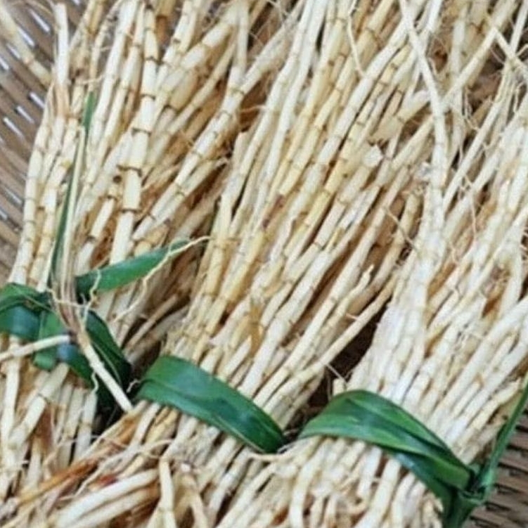 

obat herbal akar alang alang segar siap pakay berat 1 kg