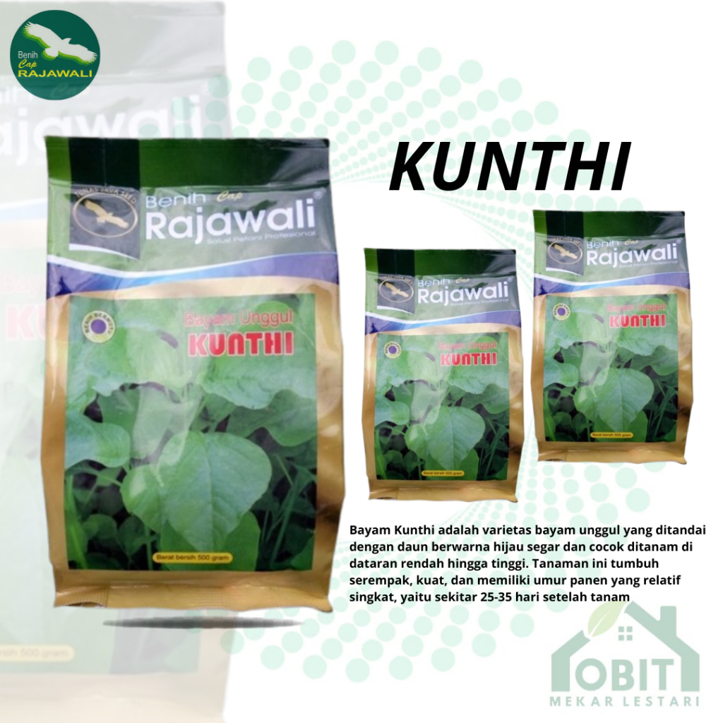 Benih Bayam KUNTHI 100 Gram - Bibit Bayam Cap Rajawali DAN 500 GR