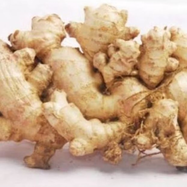 

jahe mprit segar sudah beresih siap pakay obat herbal berat 1 kg