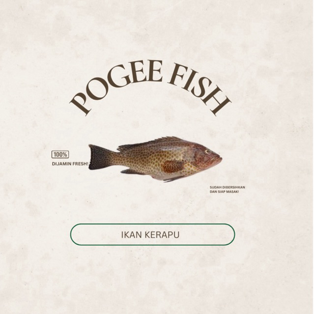 

Pogeefish Ikan Kerapu Fresh Ikan Segar Malang