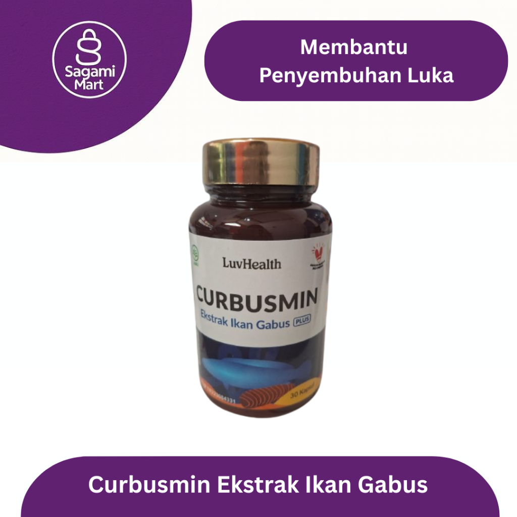 Curbusmin Ekstrak Ikan Gabus Plus – Suplemen Protein Albumin & Herbal Alami Isi 30 Kapsul