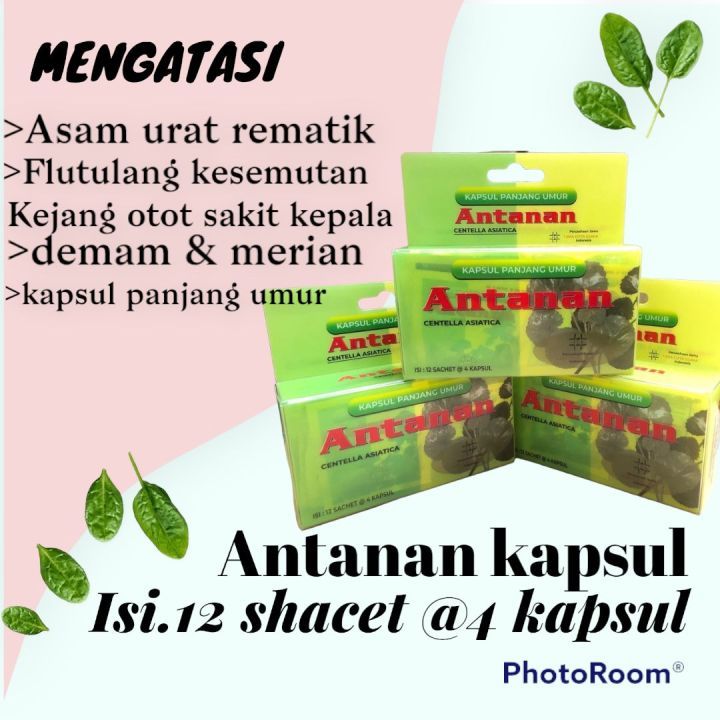 

wayahe[antanan] wae sayurrr