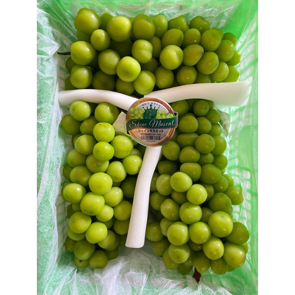 

Anggur hijau shine muscat pack 500gr