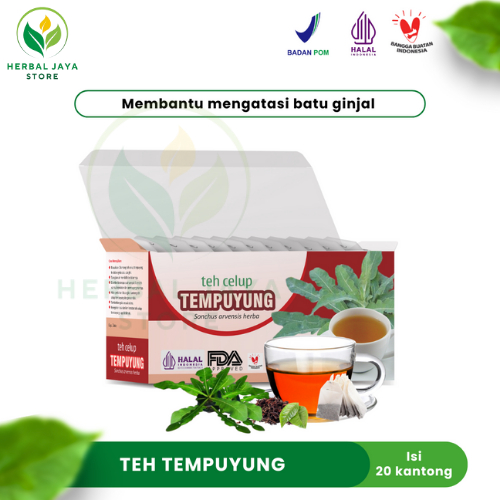

Teh Celup Daun Tempuyung Tazakka 20 Kantong Tea Bag Minuman Kesehatan Herbal Obat Batu Ginjal Empedu