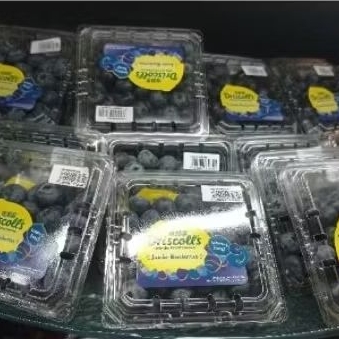 

Blueberry Driscoll's jumbo manis 125gram/pack