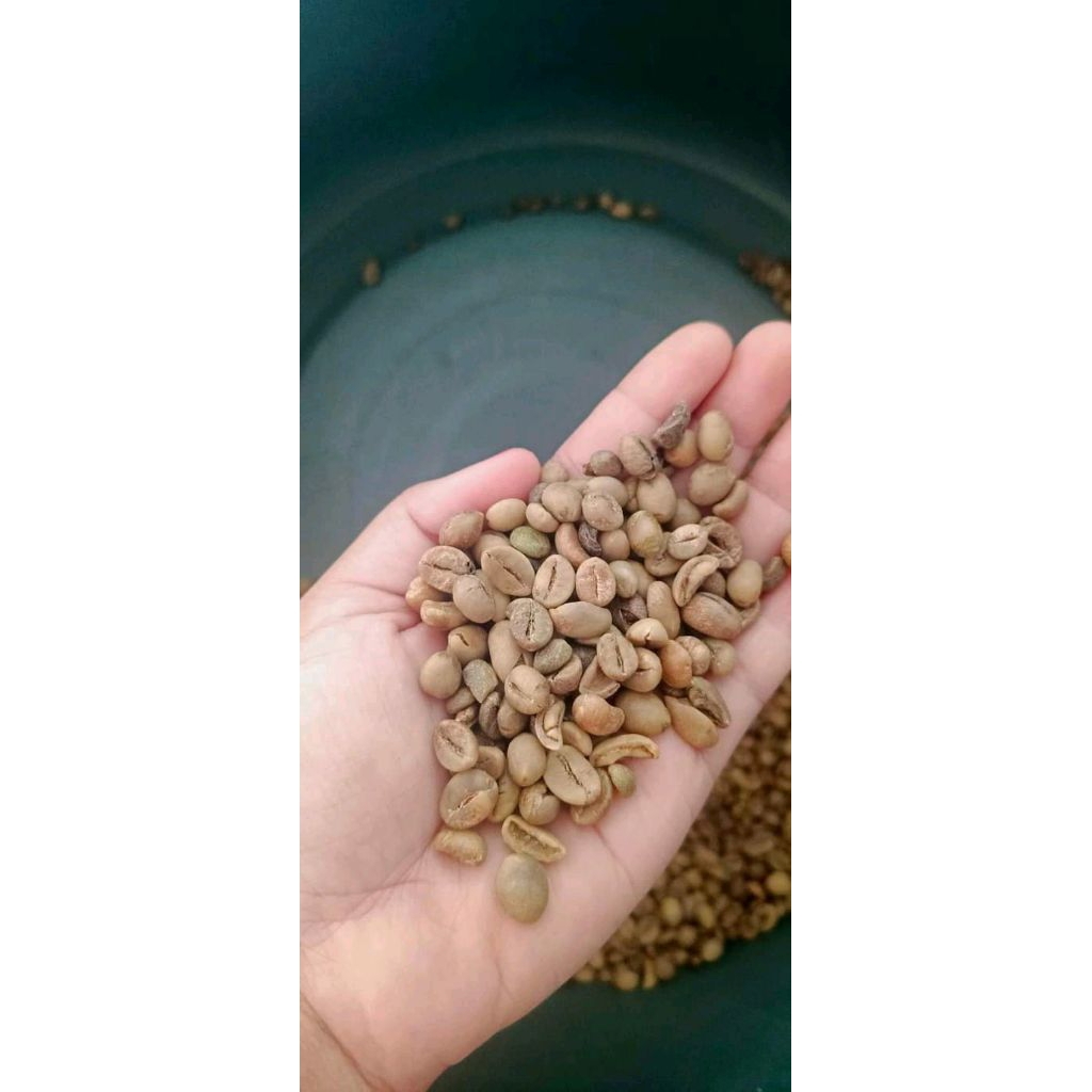 KOPI MENTAH 1/2KG/ KOPI ROBUSTA/ KOPI MURAH