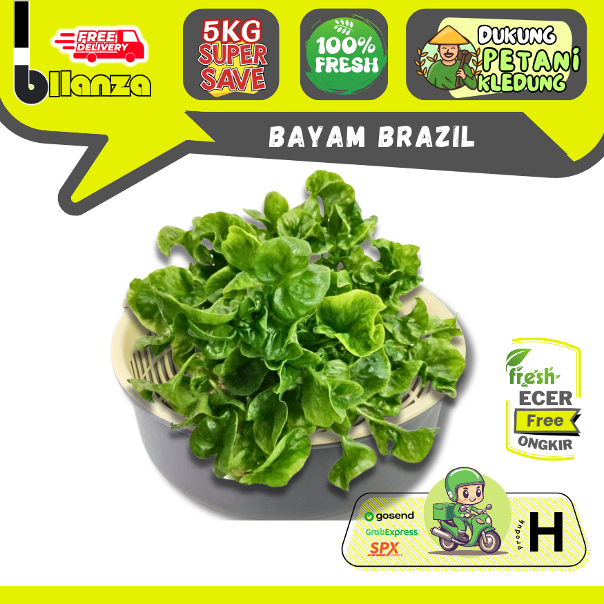 

Bllanzanow | Bayam Brazil Organik — Sayur Gunung ECER (H)
