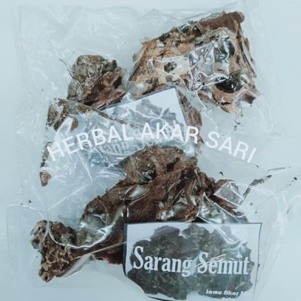 

Akar Sari - Sarang Semut Kering 10 Gram - Antikanker