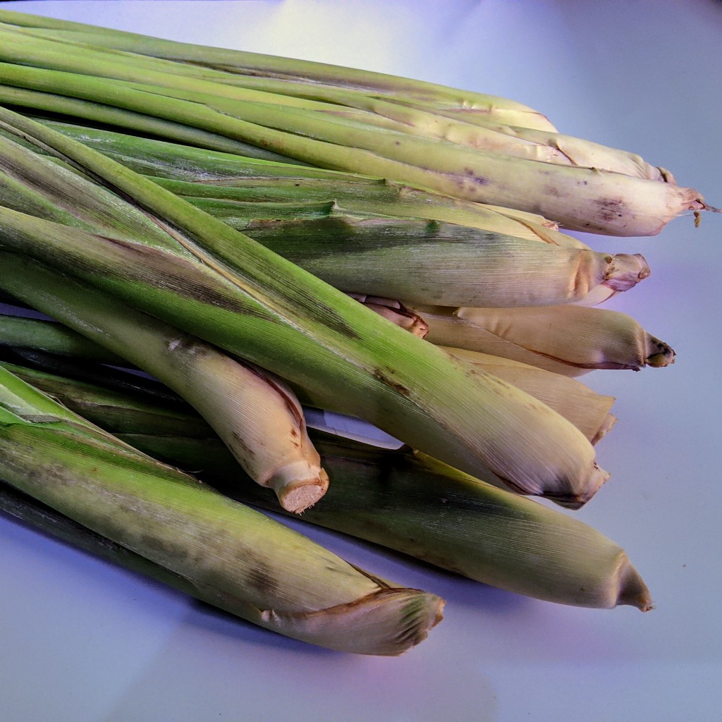 

Serai / Sereh Segar 1 KG | Wangi Tajam & Fresh | Cocok Bumbu Dapur & Minuman Sehat