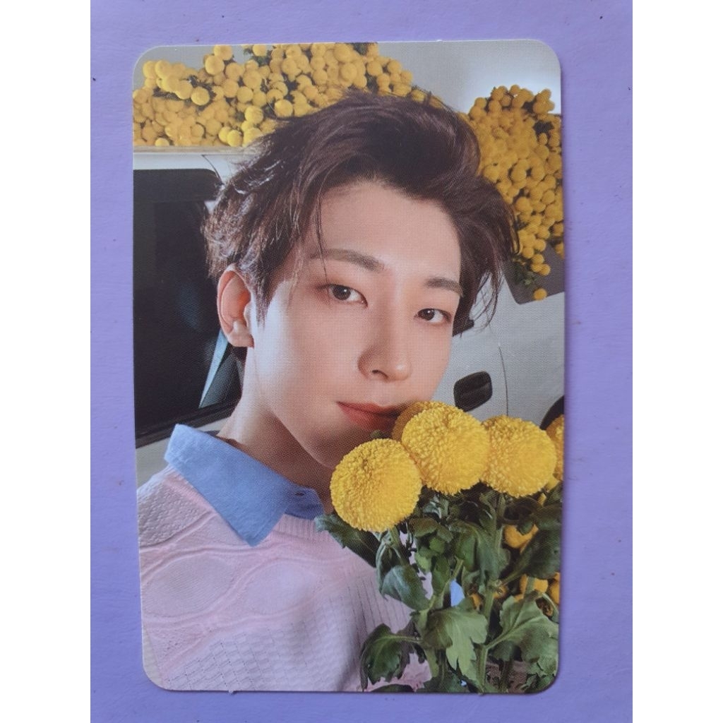 Seventeen Wonwoo Your Choice (Wonwoo Bunga)