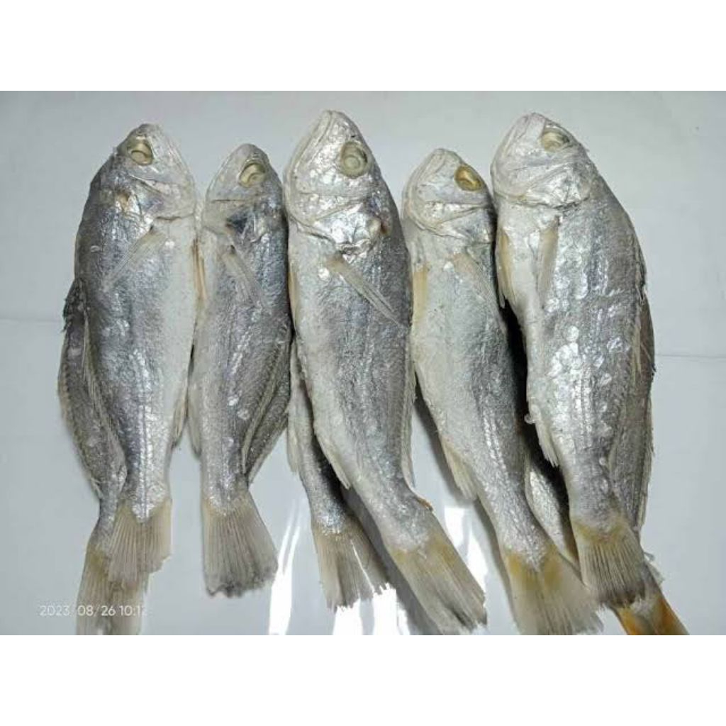 

Ikan Asin Kepala Batu (Seafood Kering)