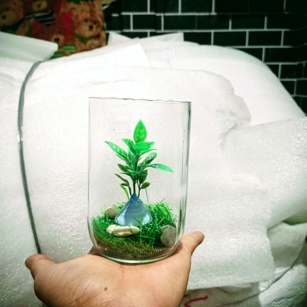 Botol cupang 2 pcs Botol kaca 400 ml wadah cupang Aquarium cupang soliter kaca cupang satu set