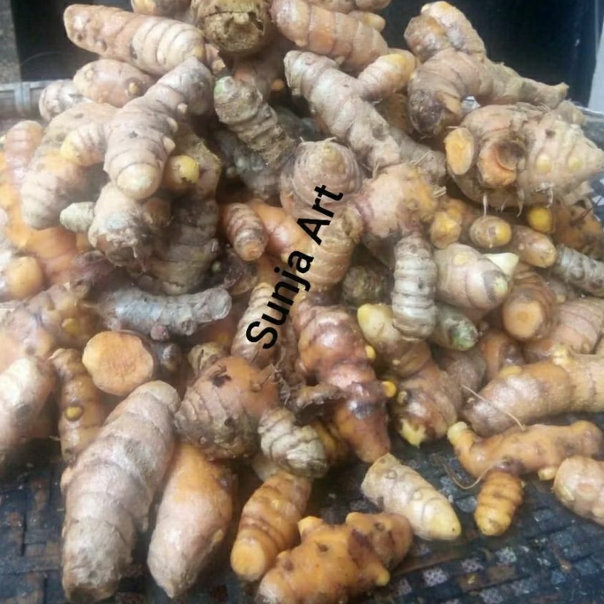 

kunyit segar 1kg/ koneng