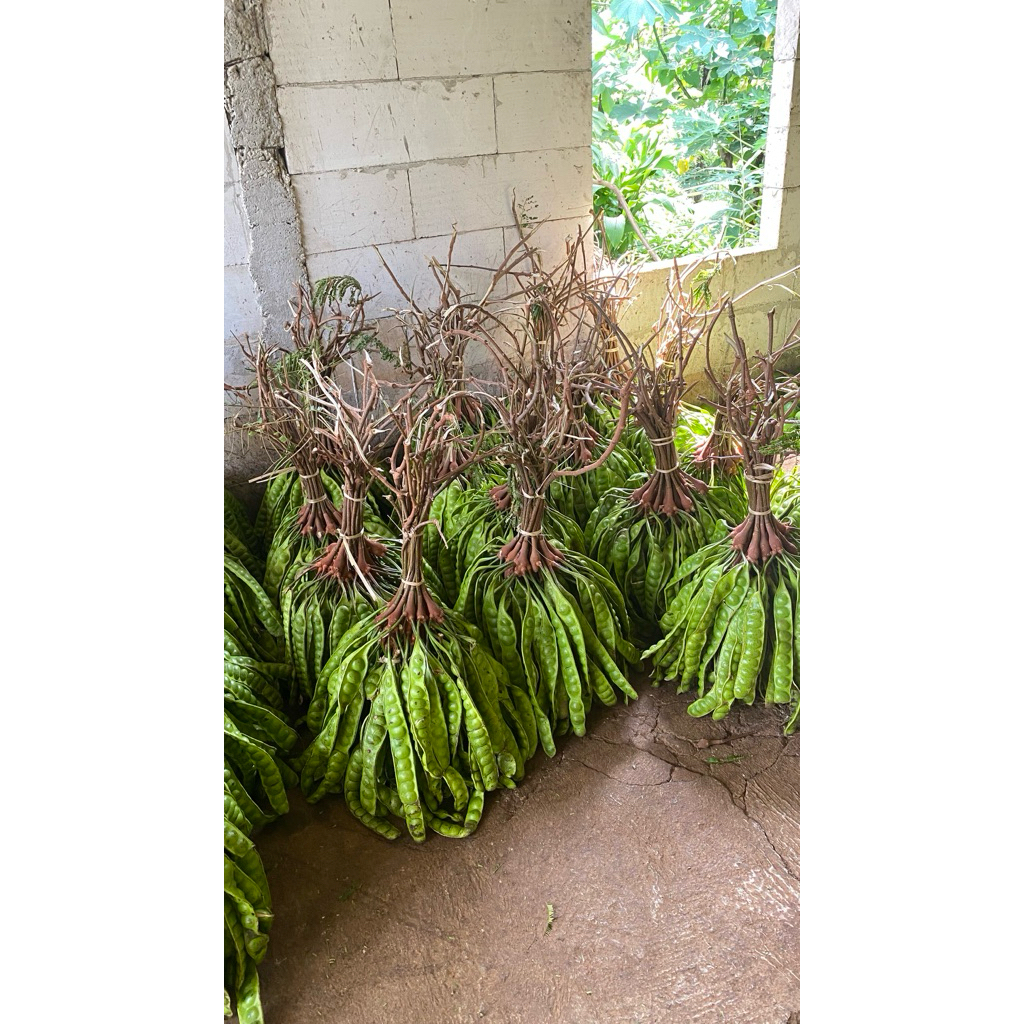 

pete wonogiri ukuran sedang tua isi 12 papan/lonjor