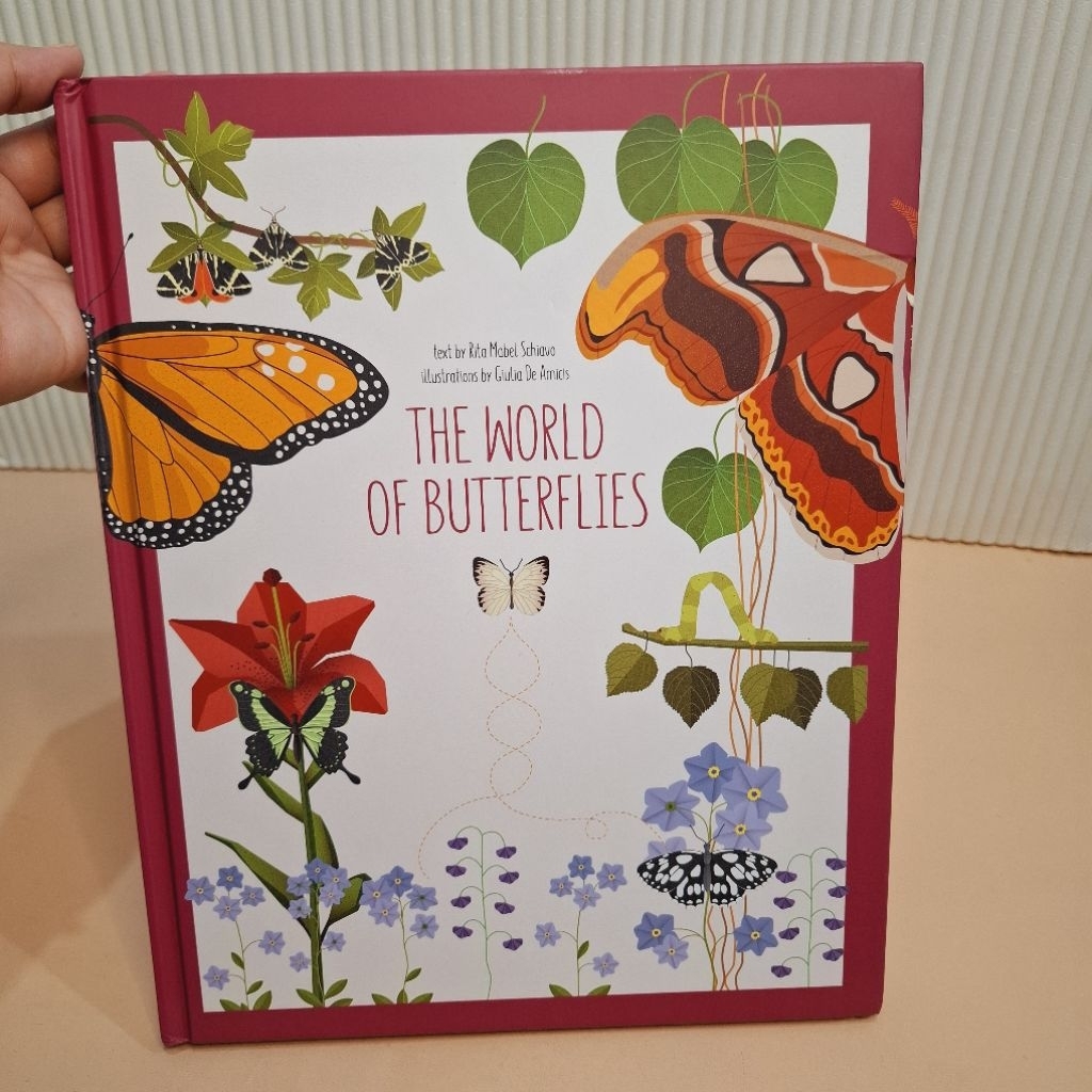 BIG BAD WOLF BOOKS • THE WORLD OF BUTTERFLIES - REFERENCE BBW IMPORT