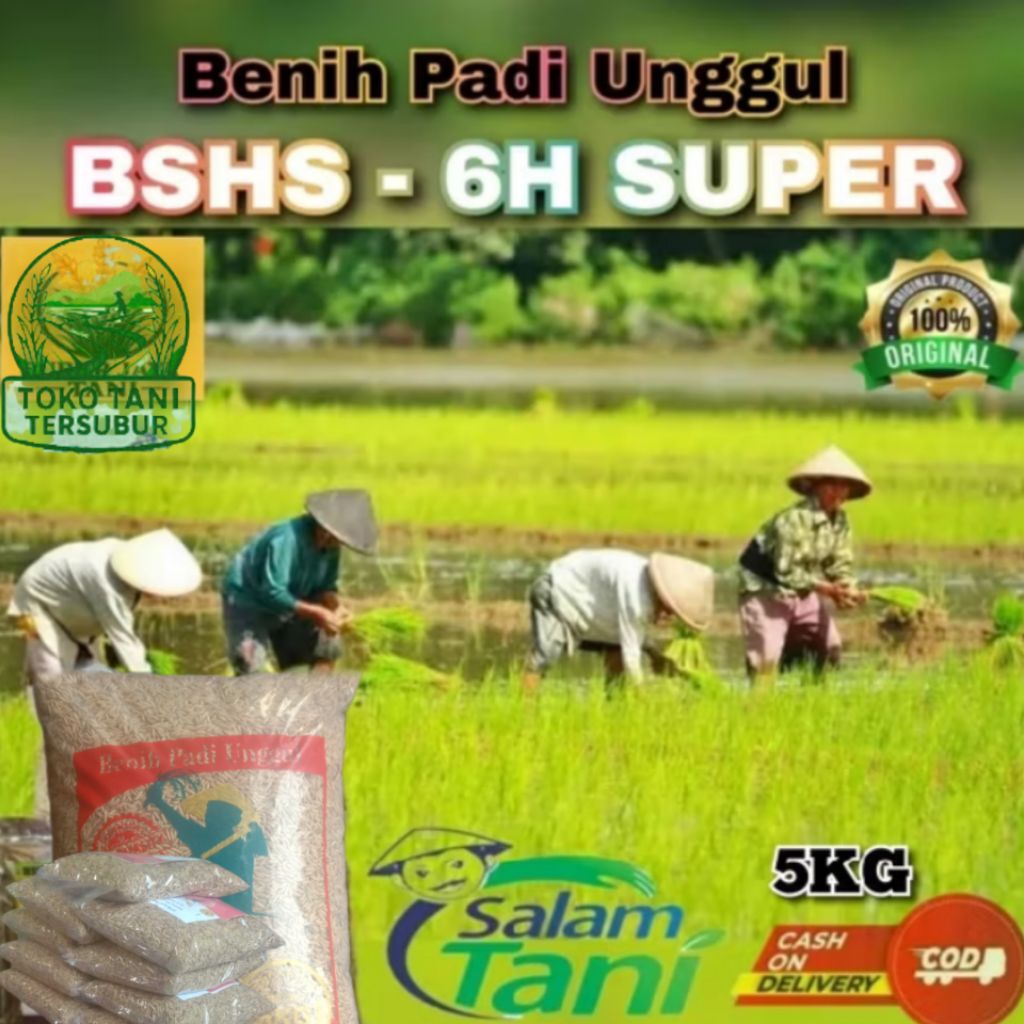 (5kg)BENIH PADI STERLING BSHS 6H KEMASAN KUALITAS UNGGUL