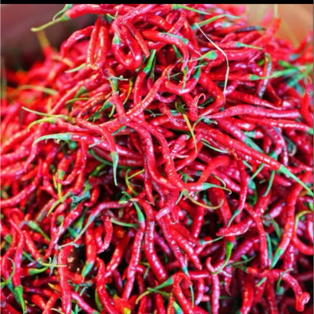 

Cabe merah keriting 1kg