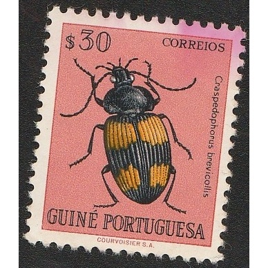 

A 12708 SATU BUAH PRANGKO GUINE PORTUGUESA NOMNAL 30 ESCUDO TEMA SATWA SERANGGA CRASPEDOPHORUS DENGAN KONDISI SUDAH ADA CAP