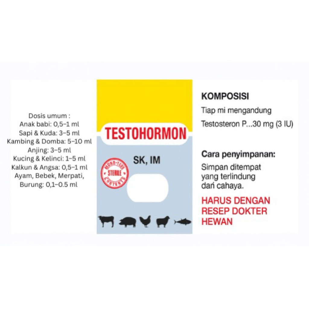 testohormon hewan jantan burung ayam sapi kambing