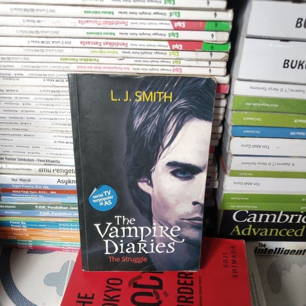 novel the vampire diaries the struggle
