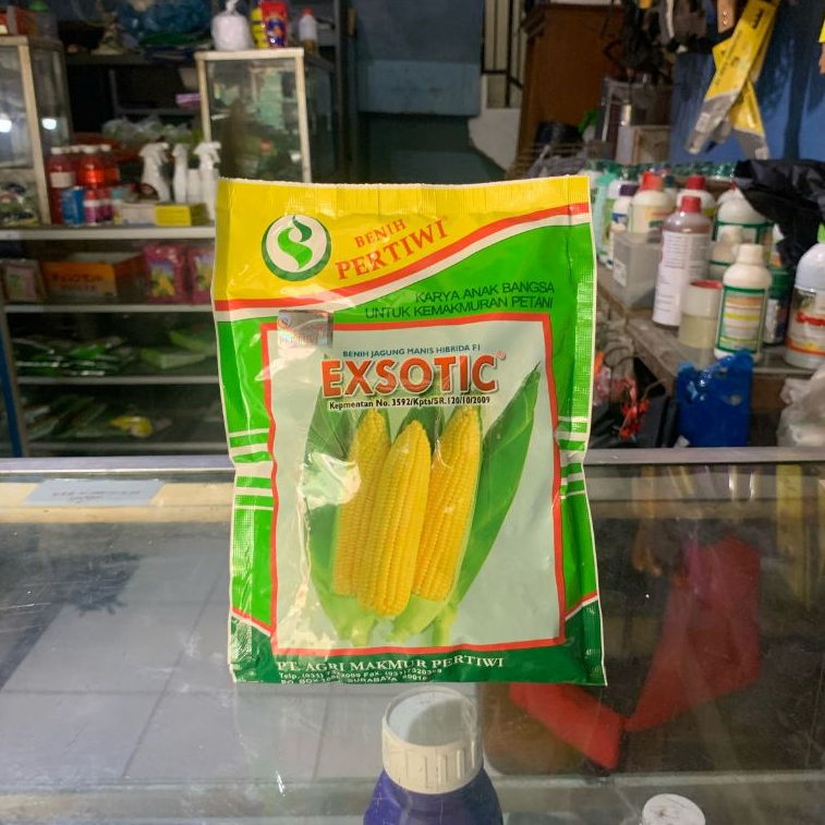 Exotic - Benih Jagung Manis / Bibit Jagung Manis / Benih Jagung Manis Pertiwi Exotic Kemasan Pabrik