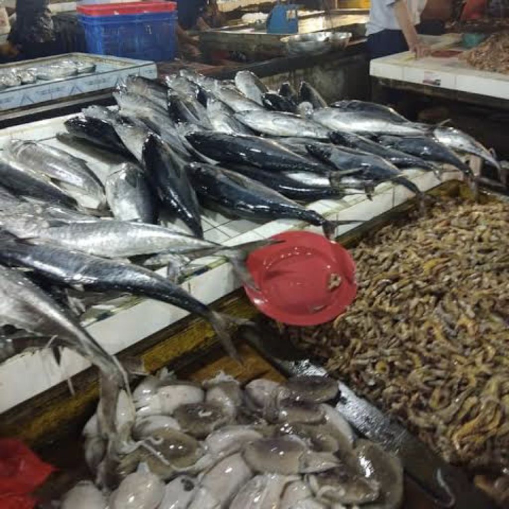 

Ikan Fresh Segar Pasar Pagi Pontianak