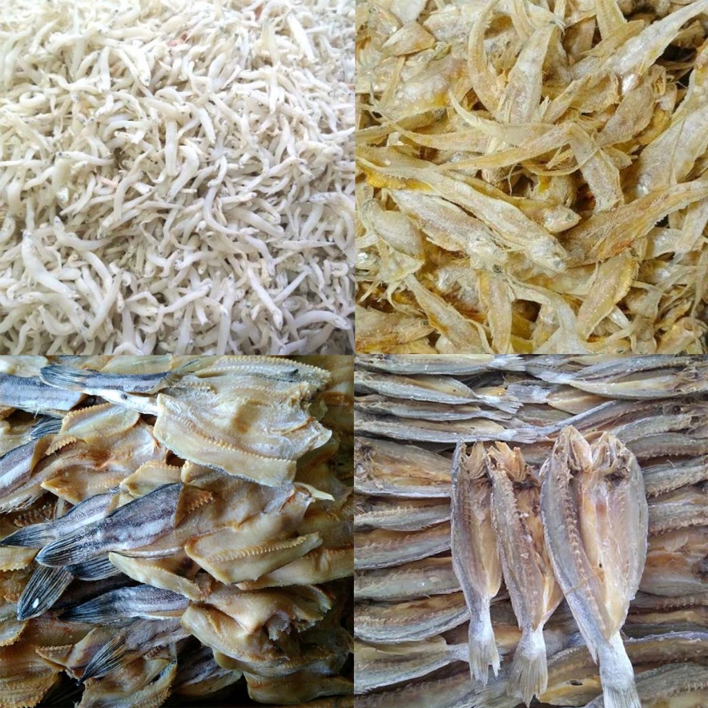 

Aneka Ikan Asin Teri Medan, Ikan Asin Kacng-Kacang, Ikan Asin Gabus, Ikan Asin Bulu Ayam [100g]