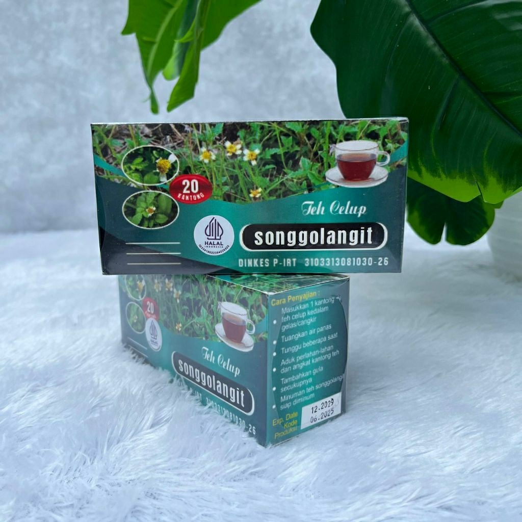 

Teh celup songgoh langit|songgoh langit|teh herbal|teh sehat