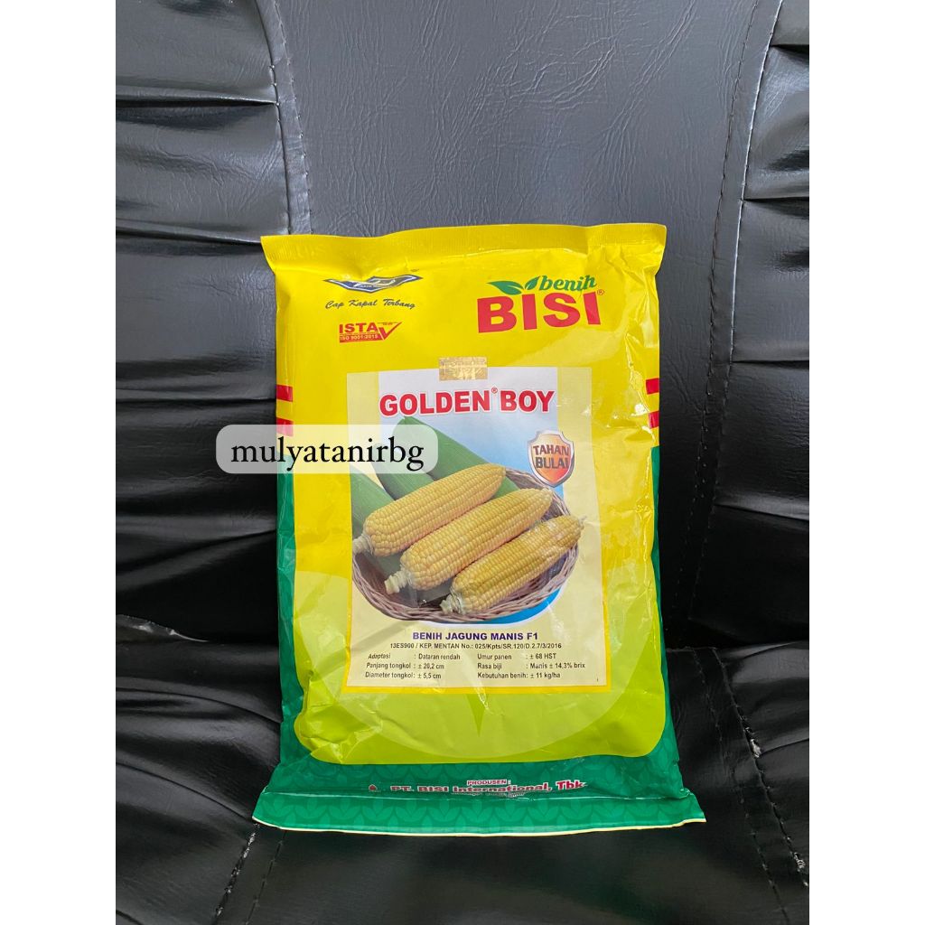 

BENIH JAGUNG MANIS F1 GOLDEN BOY 500 GRAM/3600 BIJI ORIGINAL-BISI - EXP :09-03-2026