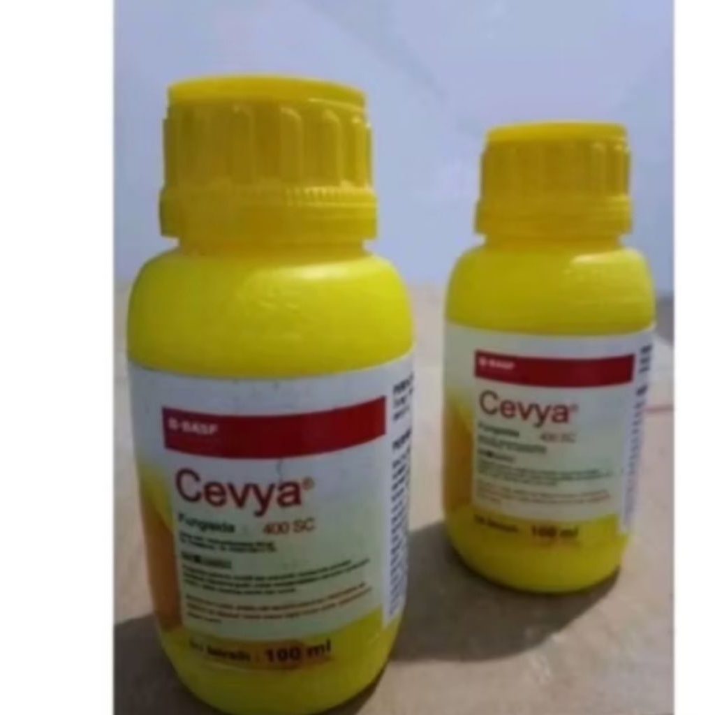cevya 100ml