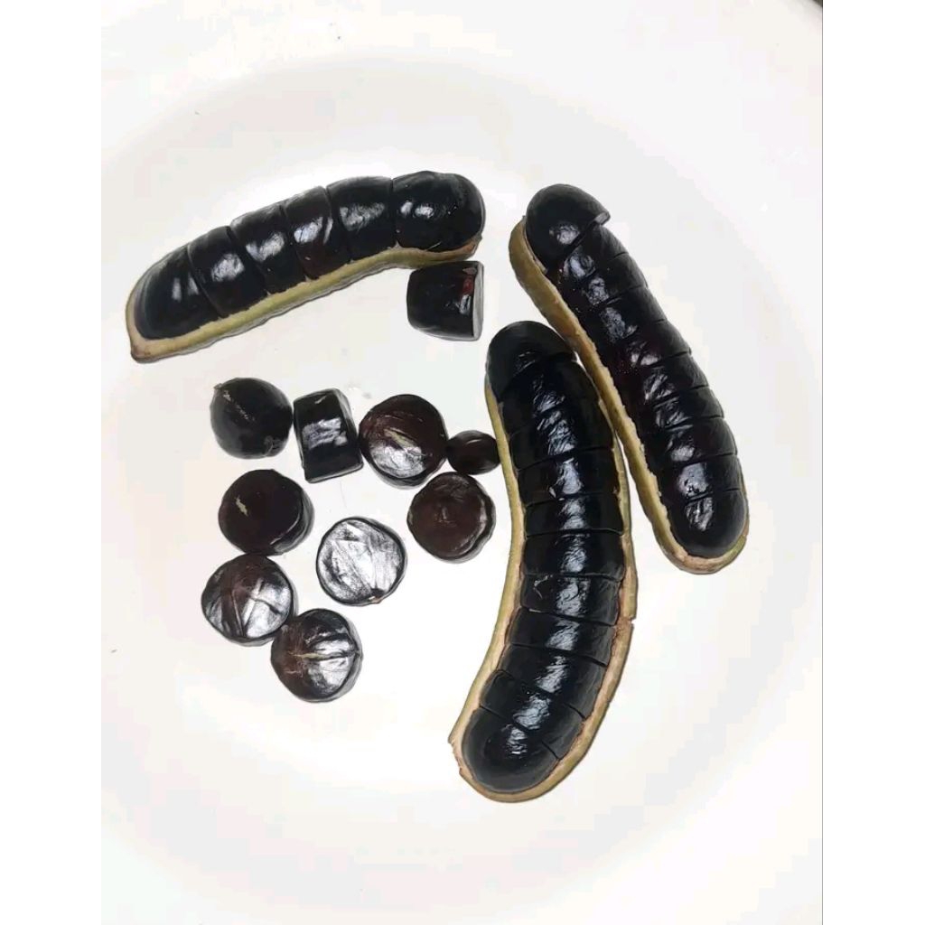 

KEMASAN 100GRAM Jolang jaling/Kabau Palembang/Lalapan enak/Obat herbal diabetes