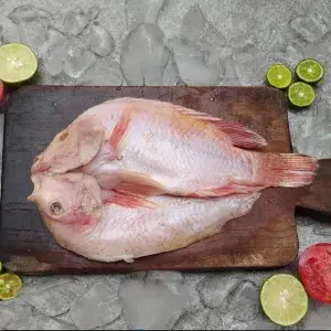 

Ikan Nila Belah Punggung. Untuk Bakar/Goreng. 1 Kg