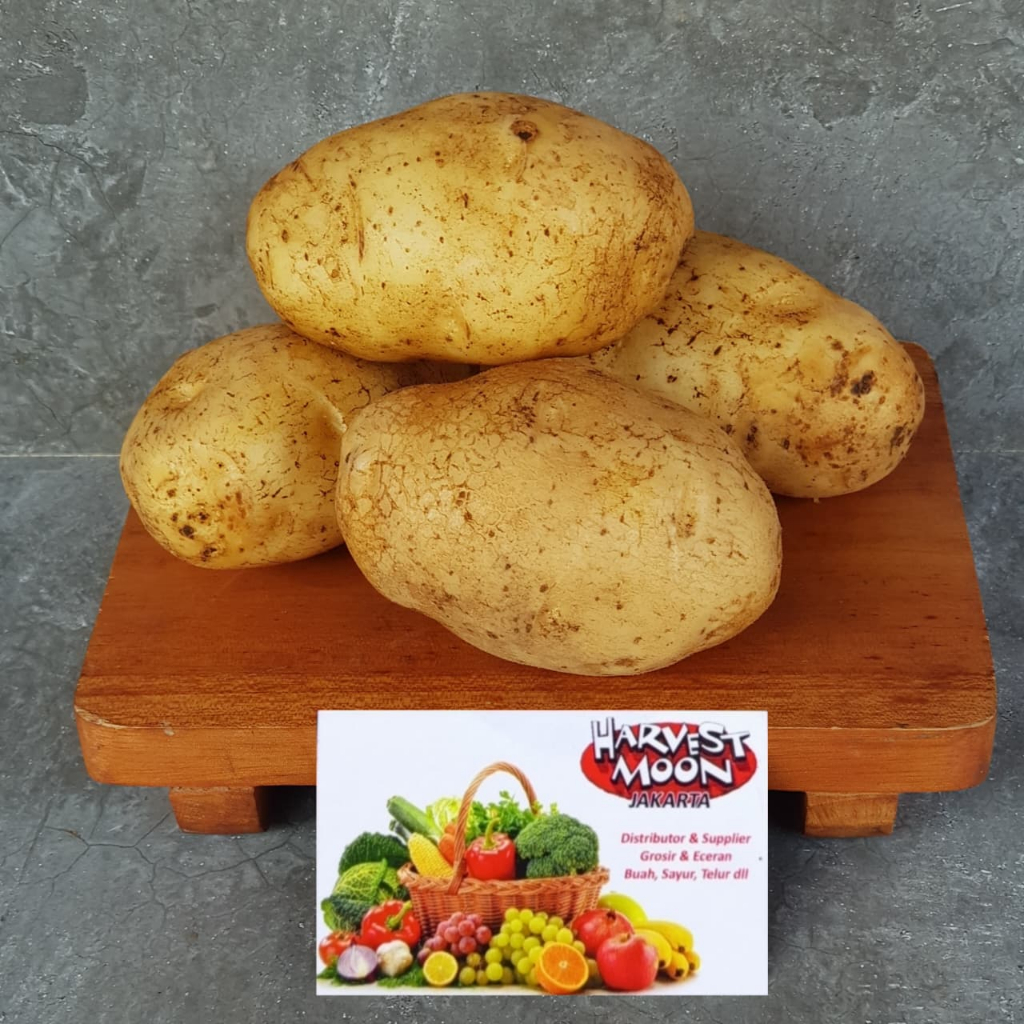 

HarvestMoon Kentang Dieng @1kg