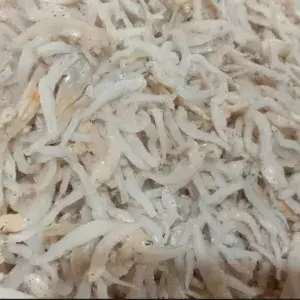 

Ikan teri nasi Medan 100 Gram