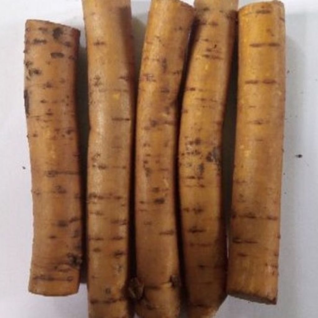 

Akar Pohon Tuba Segar - Akar Tuba Asli Bersih 500 Grm