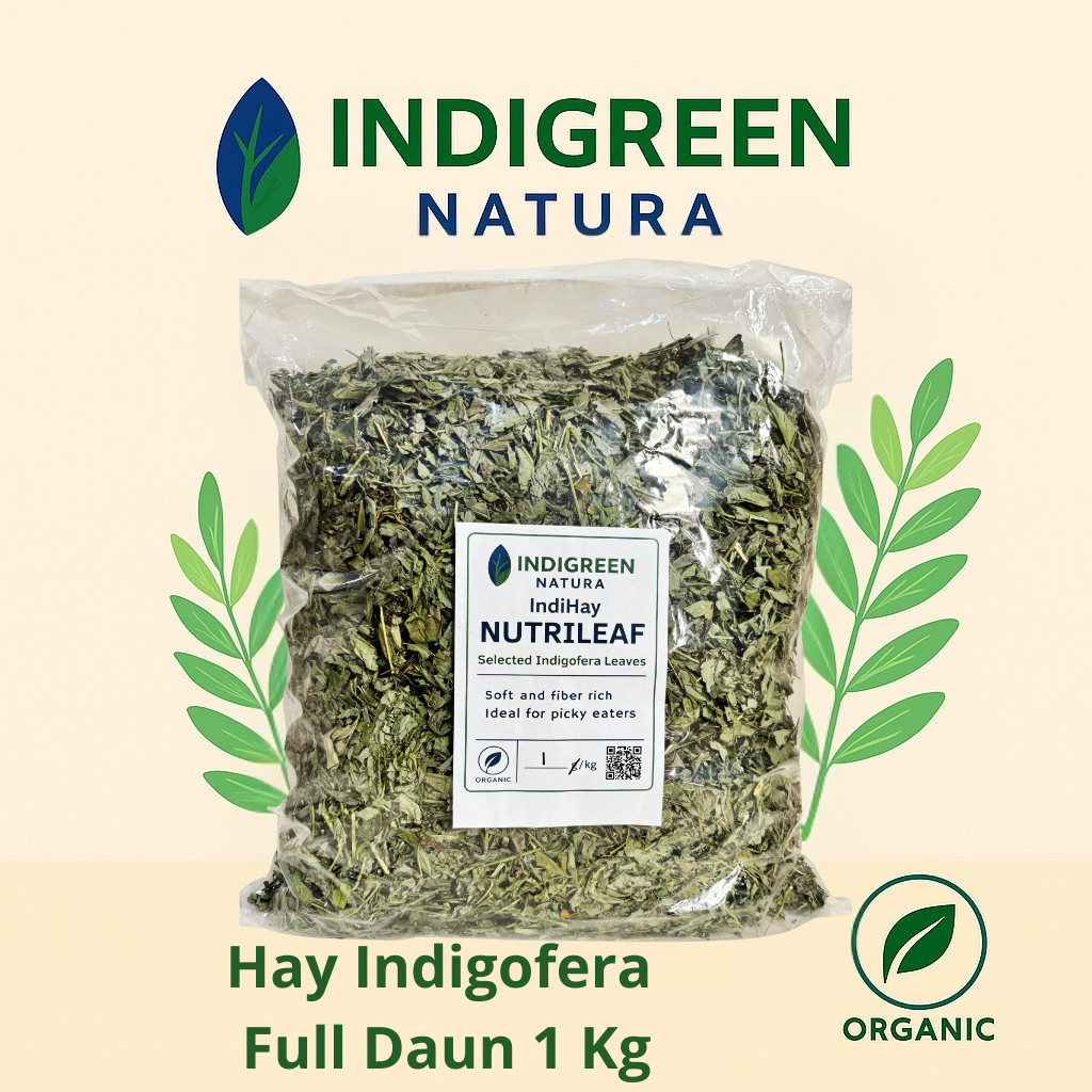 Hay Indigofera Full Daun Kering Murni Daun Pakan Ternak Pakan Hewan Pakan Kelinci Kambing Sapi Domba